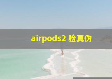 airpods2 验真伪